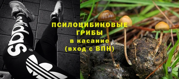 соль ск Алексеевка
