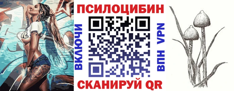 Псилоцибиновые грибы Psilocybine cubensis  Трёхгорный 